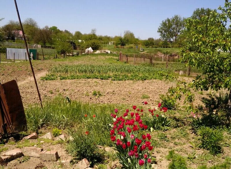 Продаётся дом в ст. Александрийской